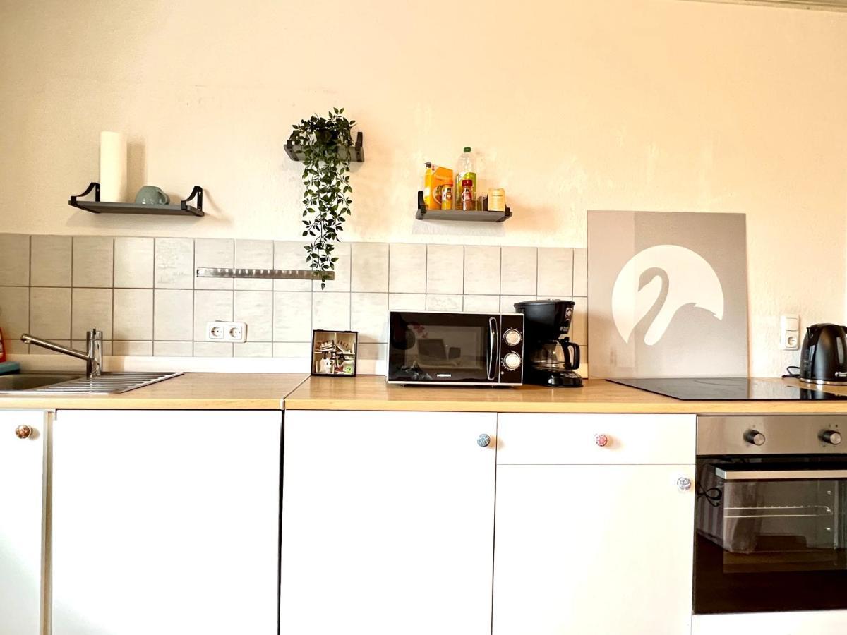 Der Schwan 7 - 3 Schlafzimmer - 2 Balkone - Zentral - 100 Qm Duren Екстер'єр фото